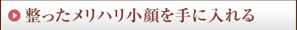 整ったメリハリ小顔を手に入れる