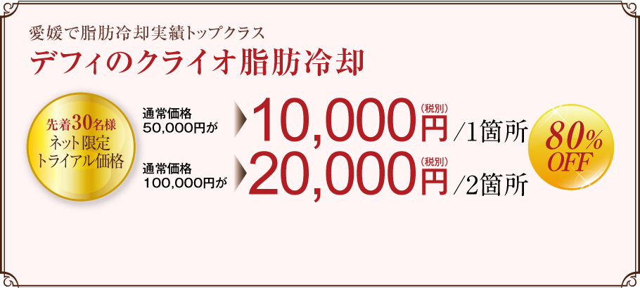 【デフィのクライオ脂肪冷却】先着30名様 1箇所10,500円 2箇所21,000円